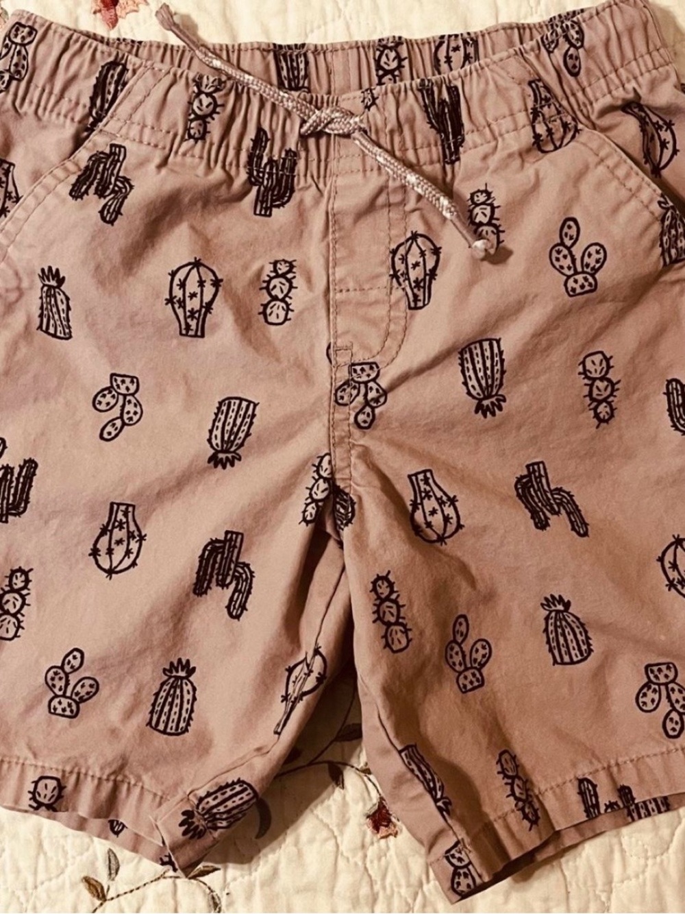 Cat & Jack Dusty Mauve boys' Casual Shorts - Cactus Accent